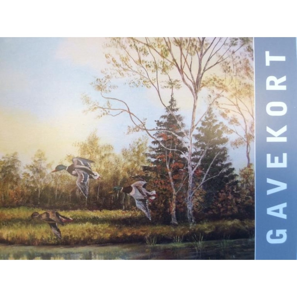 Gavekort (22)