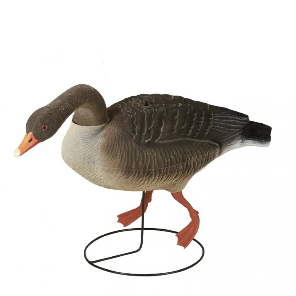 Decoy Gås m/flock fouragerende
