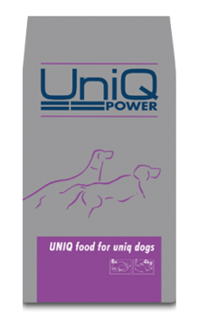 UniQPower-20