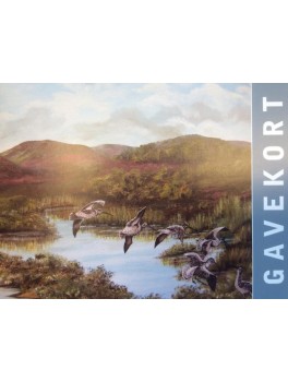 Gavekort4-20