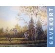 Gavekort (22)