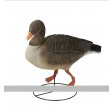 Decoy gås m/flock vagt