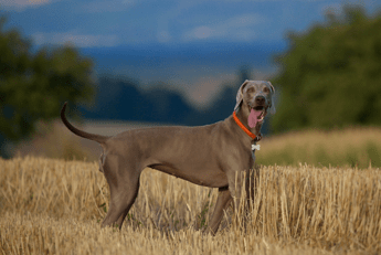 nathalie-spehner-Gd15cXAqHS8-unsplash